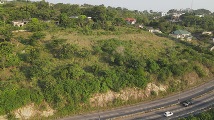 Professional Drone Services